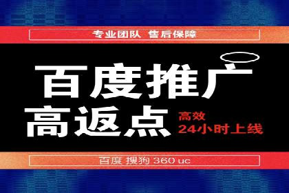 SEM托管公司案例分析：实战技巧全解析
